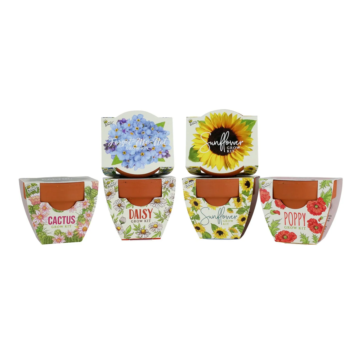Daydream Mini Terracotta dyrkningssæt 6-pak blomster kaktus