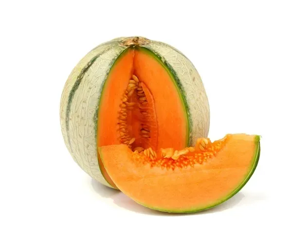 Natureseeds Melon Charentais frø 10 stk sød