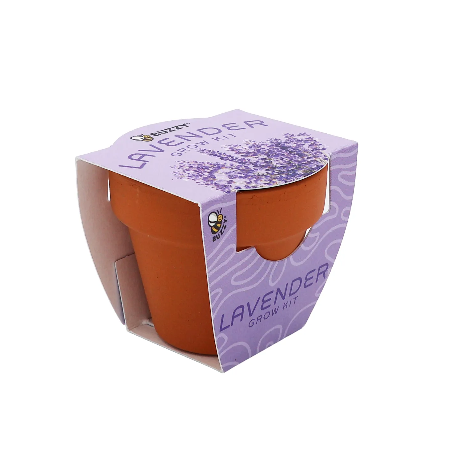 Buzzy Seeds Bright Mini Terracotta dyrkningssæt lavendel 12-pak