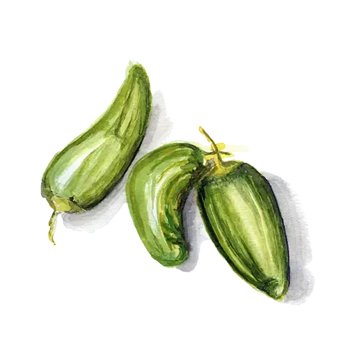 NordFrö Padron chili frø tapas mild