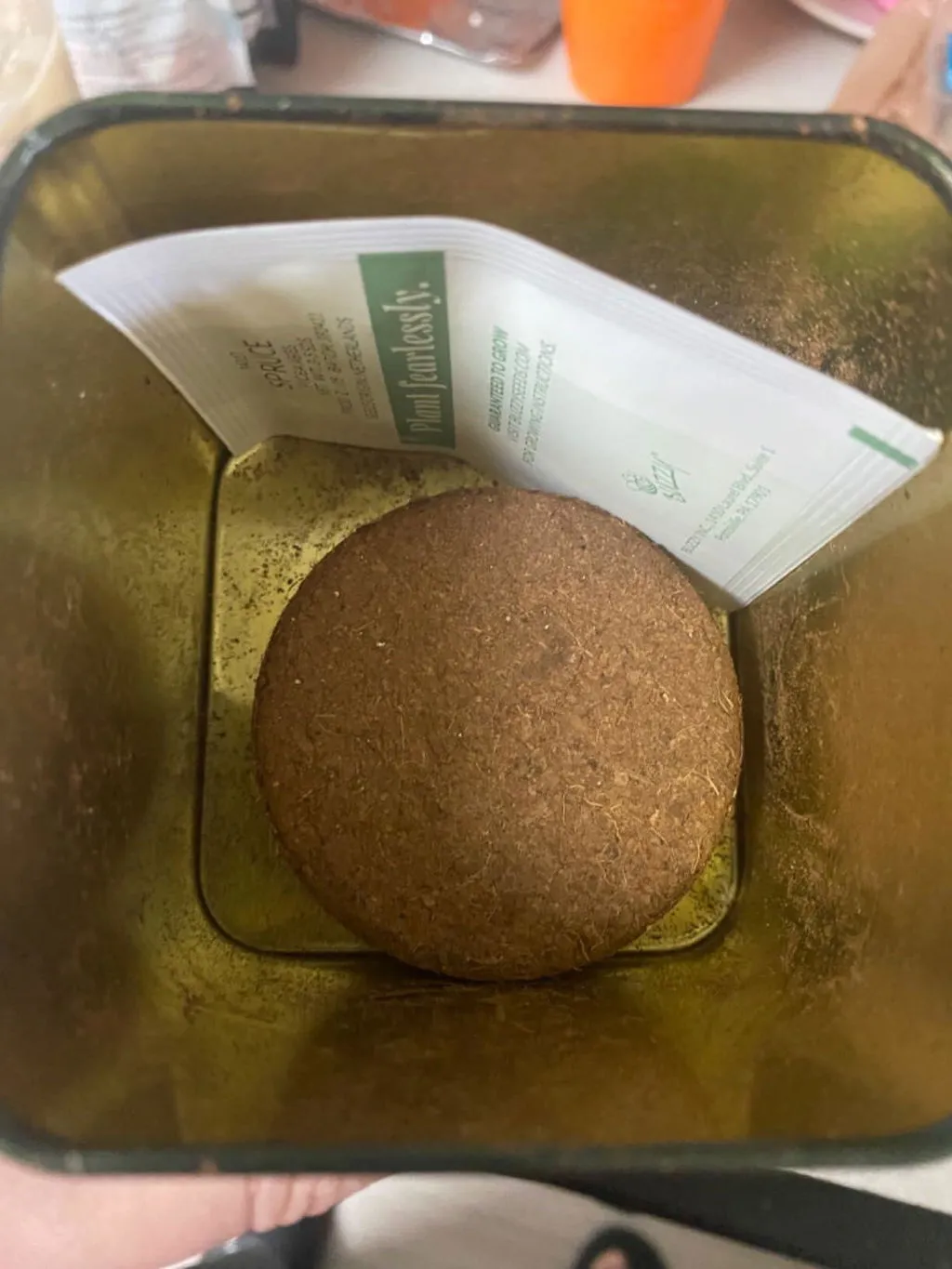 Buzzy Seeds Holiday Mint dyrkningssæt 2 dåser mynte