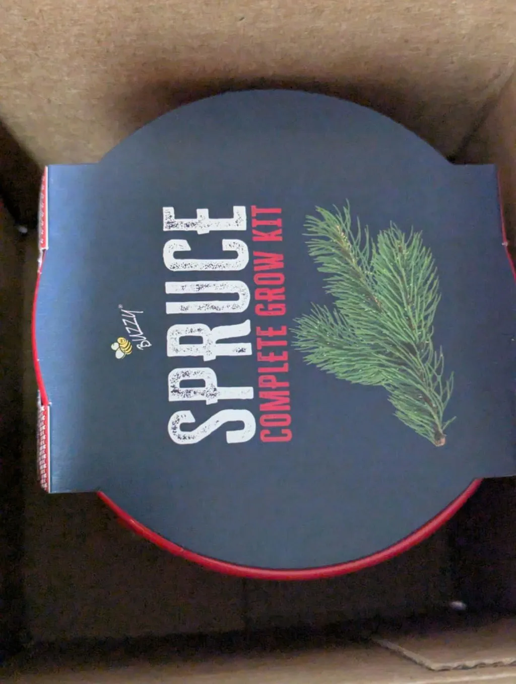 Buzzy Seeds Warm Wishes Holiday Pail dyrkningssæt rødgran