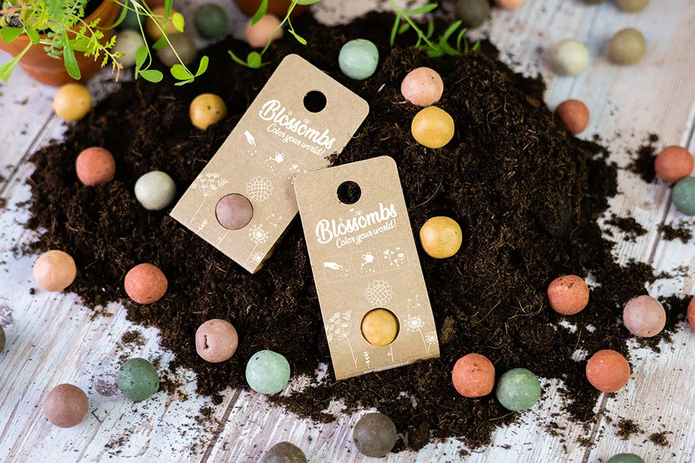 Blossombs Weggeefcadeautje frøbombe 1 stk brevkassegave vilde blomster
