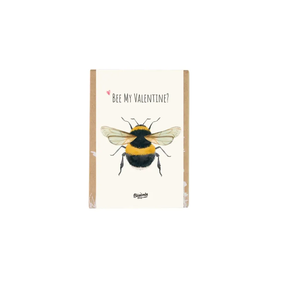 Blossombs Mini gaveæske frøbomber 4 stk valentin
