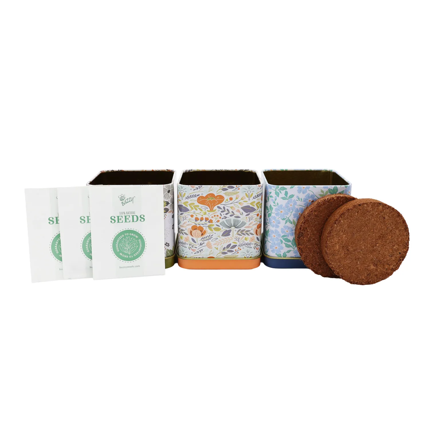 Buzzy Seeds Foodie urtesæt tekrydder 3-delt bundle