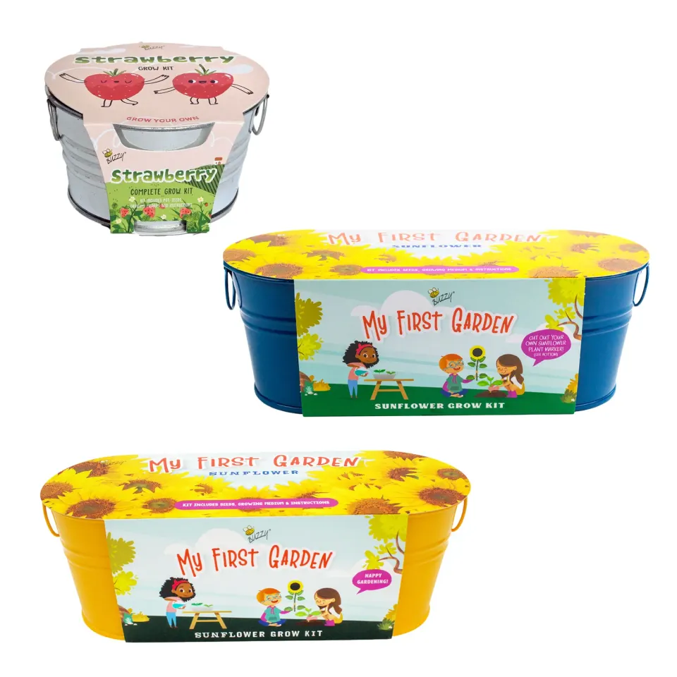 Buzzy Seeds Kids Bundle dyrkningssæt tomat solsikke jordbær