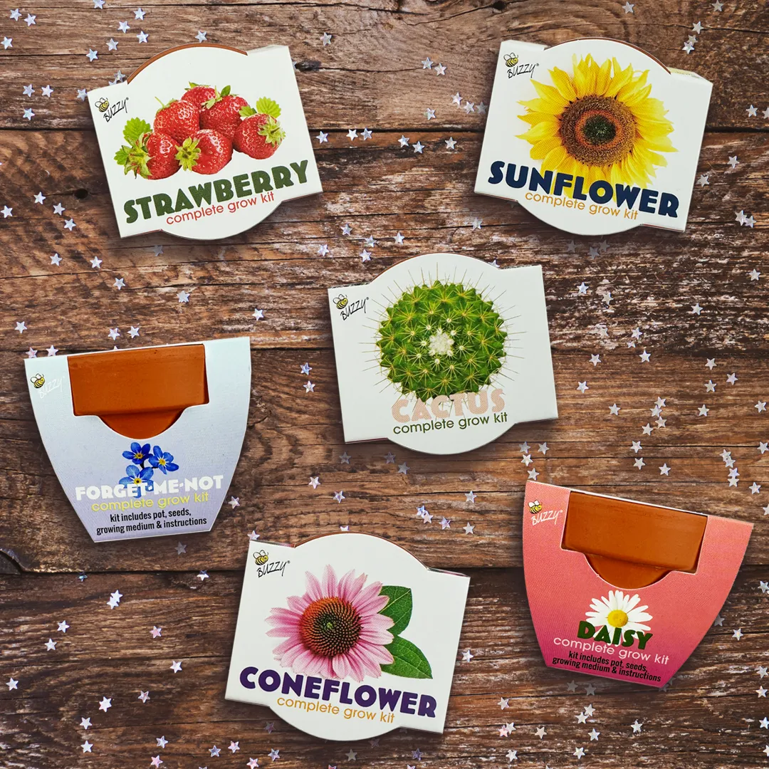 Buzzy Seeds Classic dyrkningssæt 12-pak assorteret mix