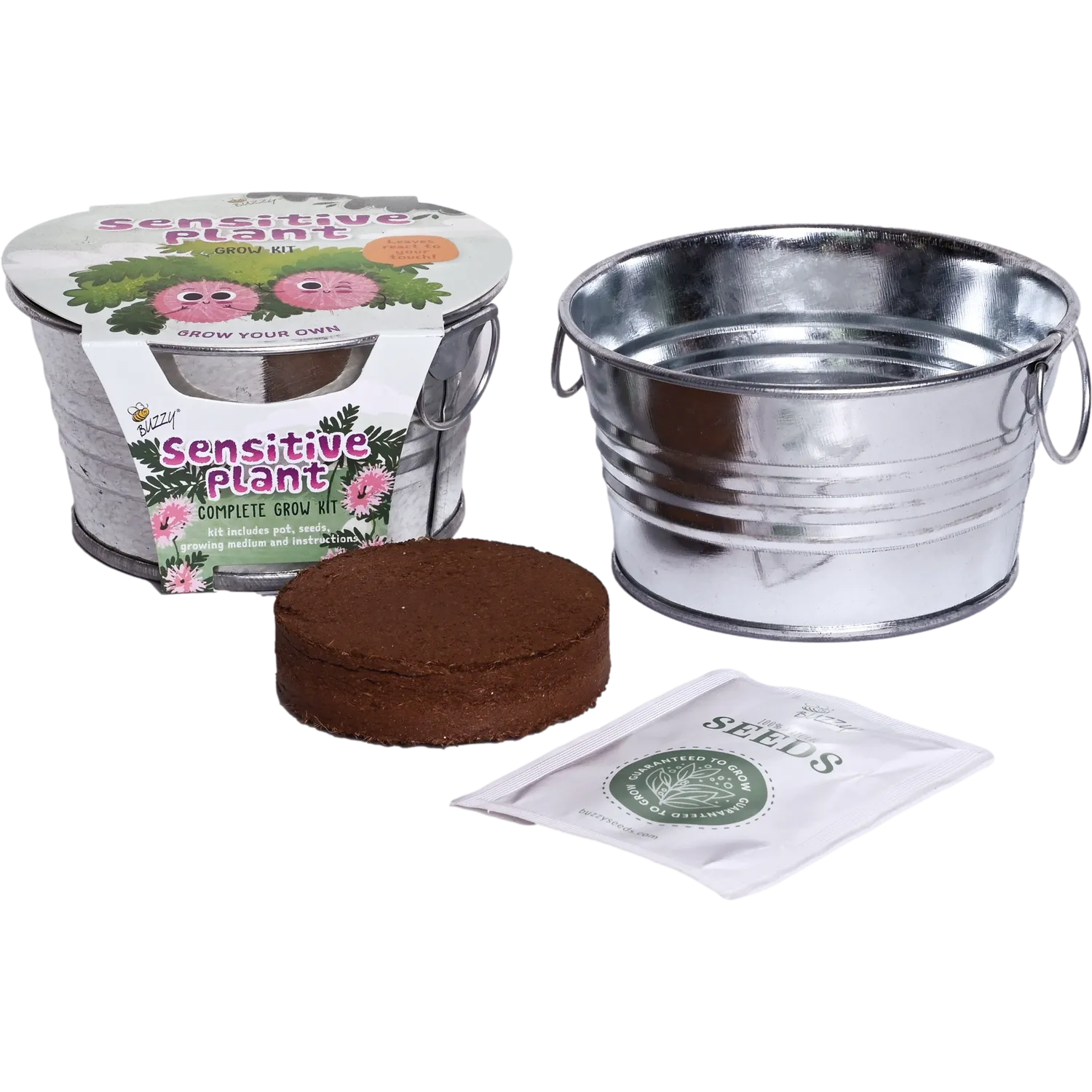 Buzzy Seeds Sensitive Plant dyrkningssæt mini basin røreplante
