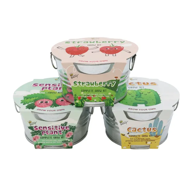 Buzzy Seeds Mini Basin Trio dyrkningssæt 3-pak kaktus