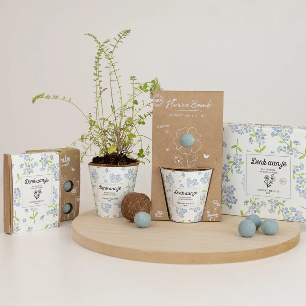 Blossombs Gift Box Small gaveæske 7 stk forglemmigej