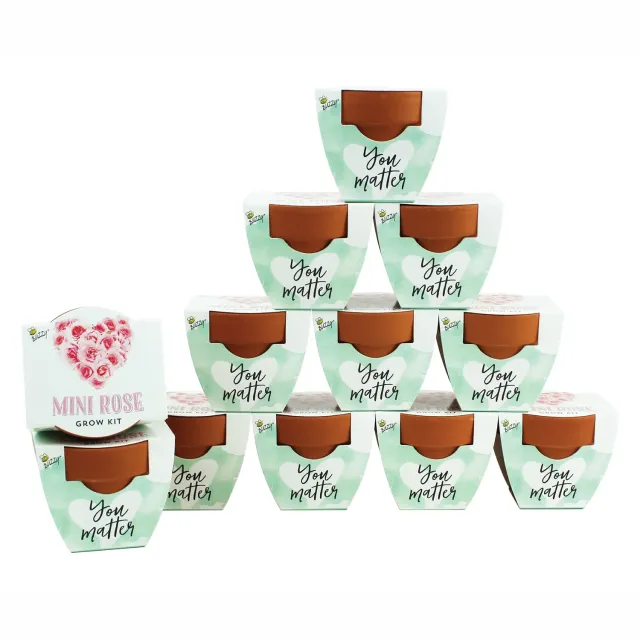 Buzzy Seeds Love minirose dyrkningssæt 12-pak rosa
