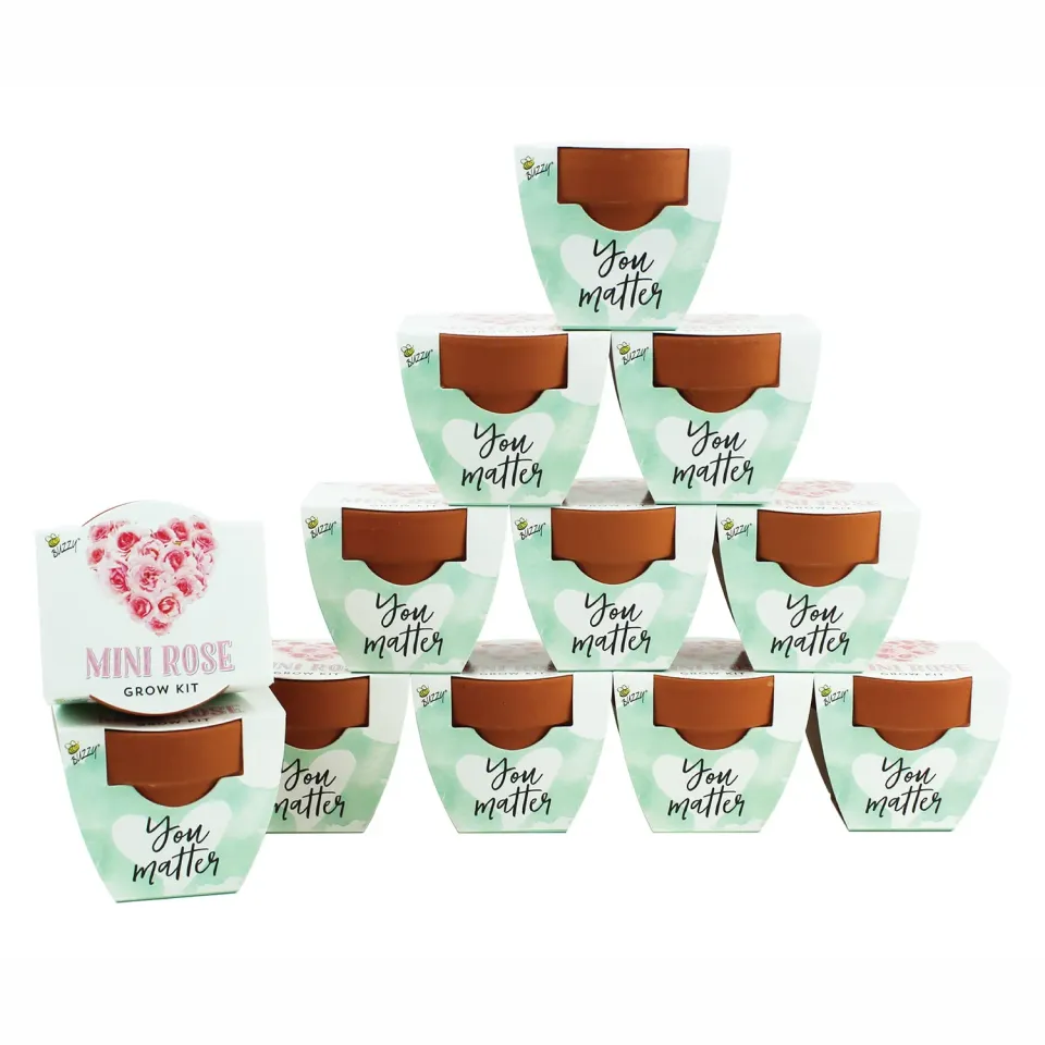 Buzzy Seeds Love minirose dyrkningssæt 12-pak rosa