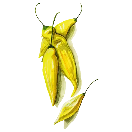 NordFrö Hot Lemon chilifrø citrus