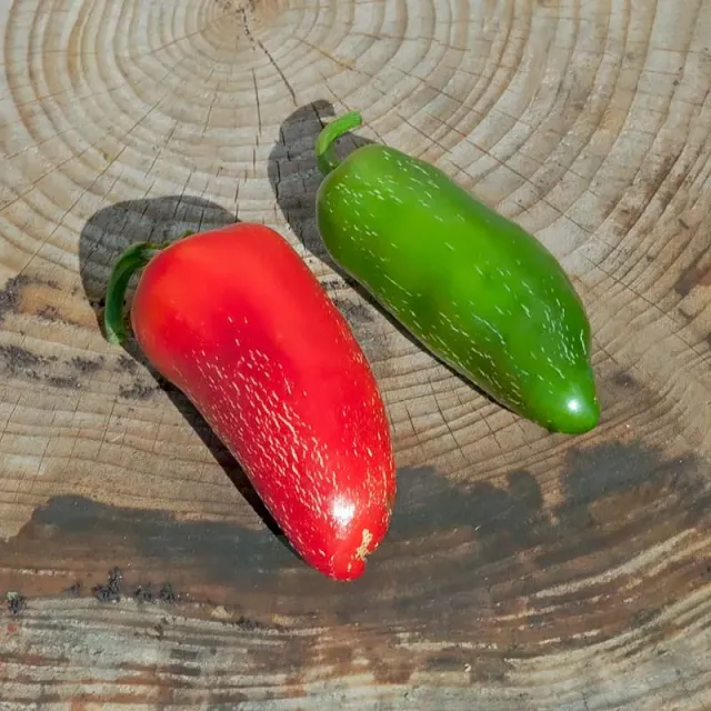 Urtegartneriet øko Chili Jalapeno frø 15 frø drivhus