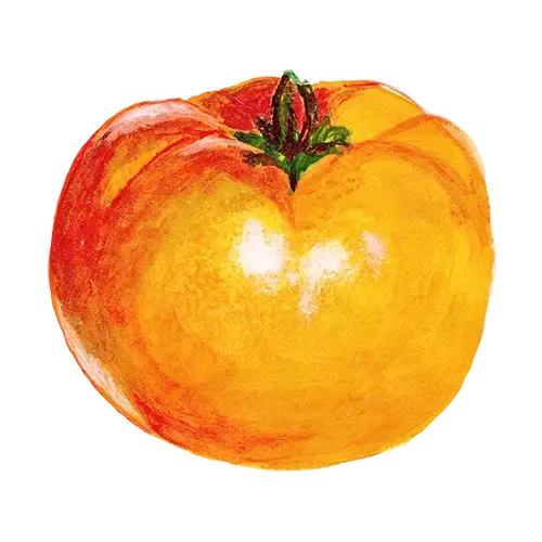 NordFrö Valencia tomatfrø – stor orange bøftomat