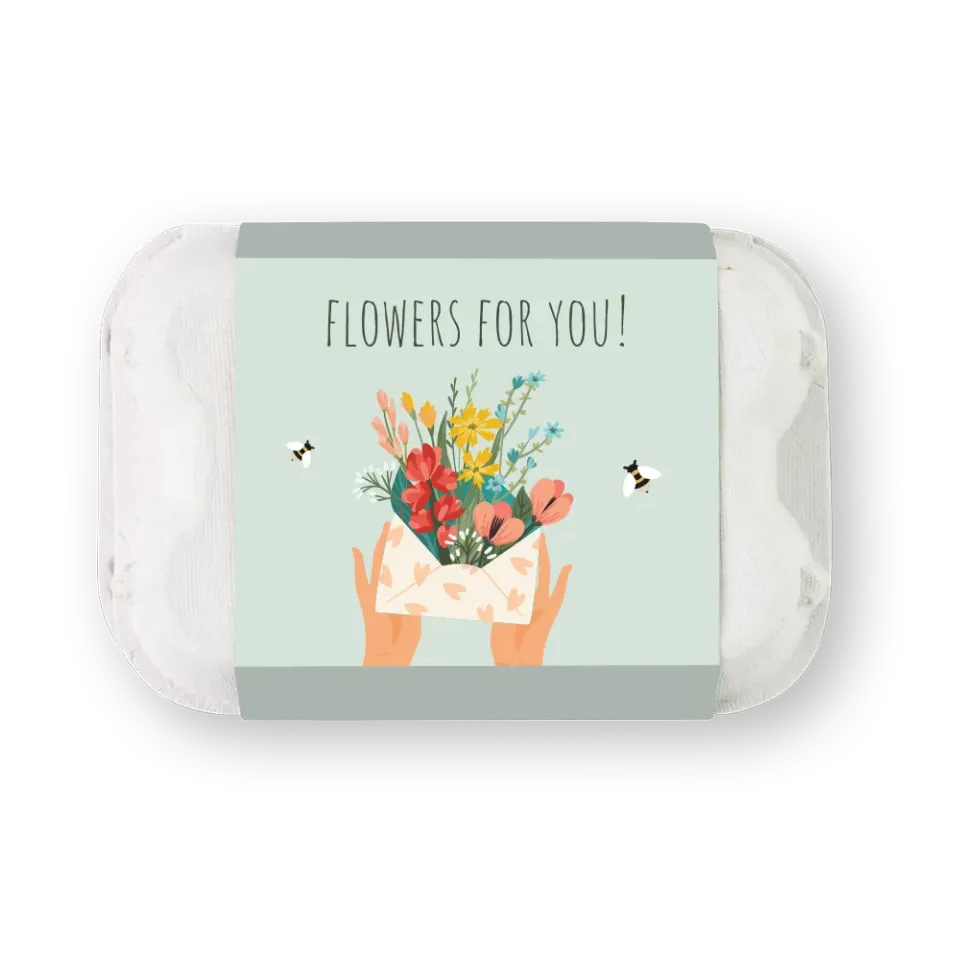 Blossombs Gaveæg frøbomber 6 stk blomster