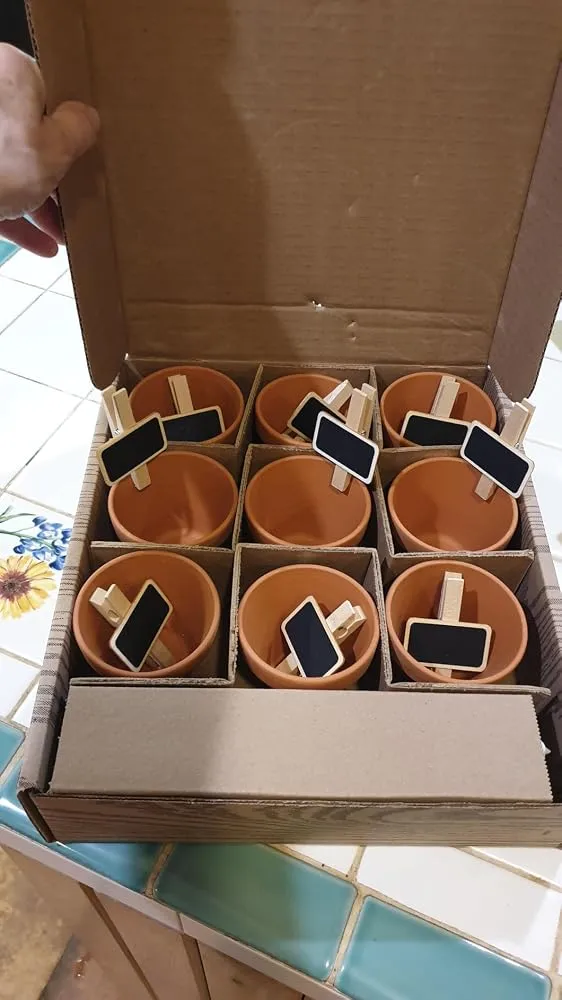 Buzzy Seeds Organic Herb Garden dyrkningssæt 9 sorter økologisk