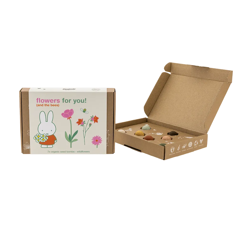 Blossombs Nijntje Gift Box Small gaveæske 7 frøbomber