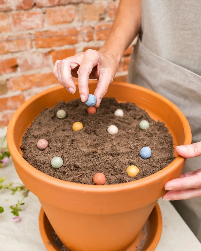 Blossombs Bloemen Voor Jou æggebakke frøbomber 6 stk buket