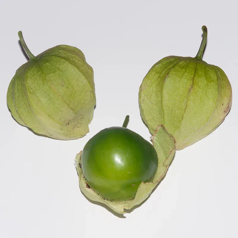 Urtegartneriet øko Tomatillo grøn frø 8 frø