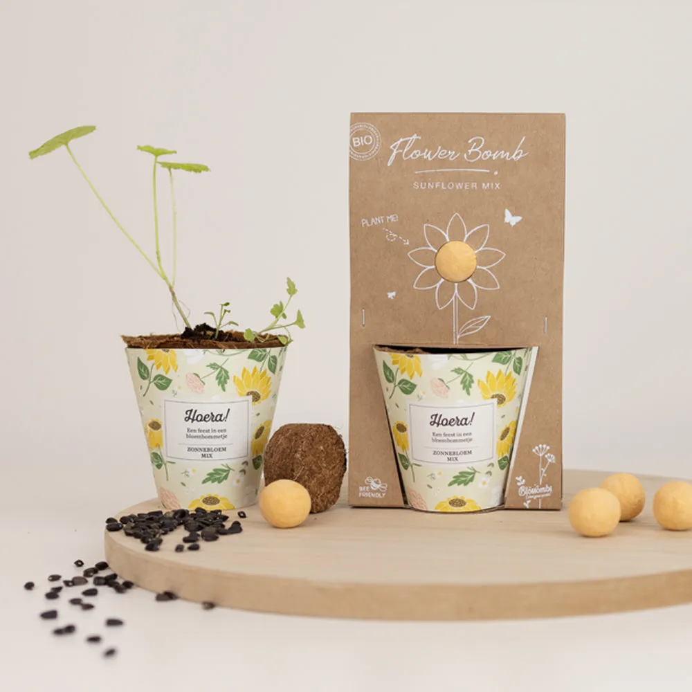 Blossombs Grow Kit dyrkningssæt solsikke mix