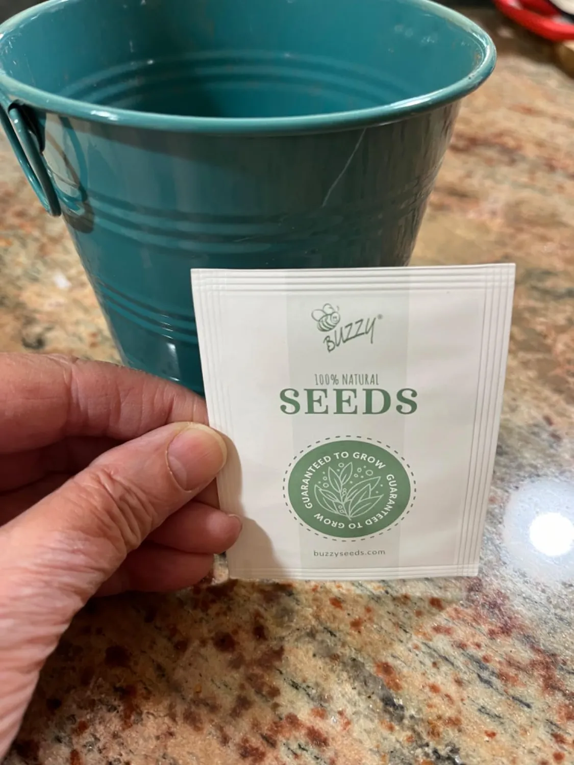 Buzzy Seeds Warm Wishes Holiday Pail dyrkningssæt rosmarin