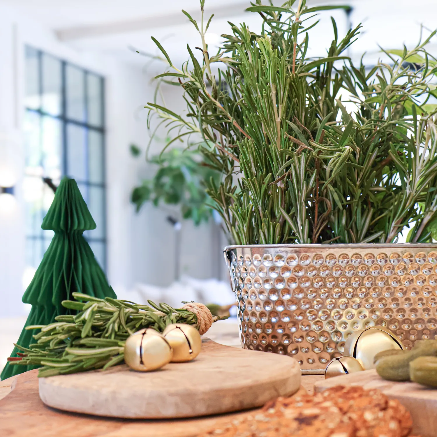 Buzzy Seeds Holiday Herb dyrkningssæt rosmarin salvie