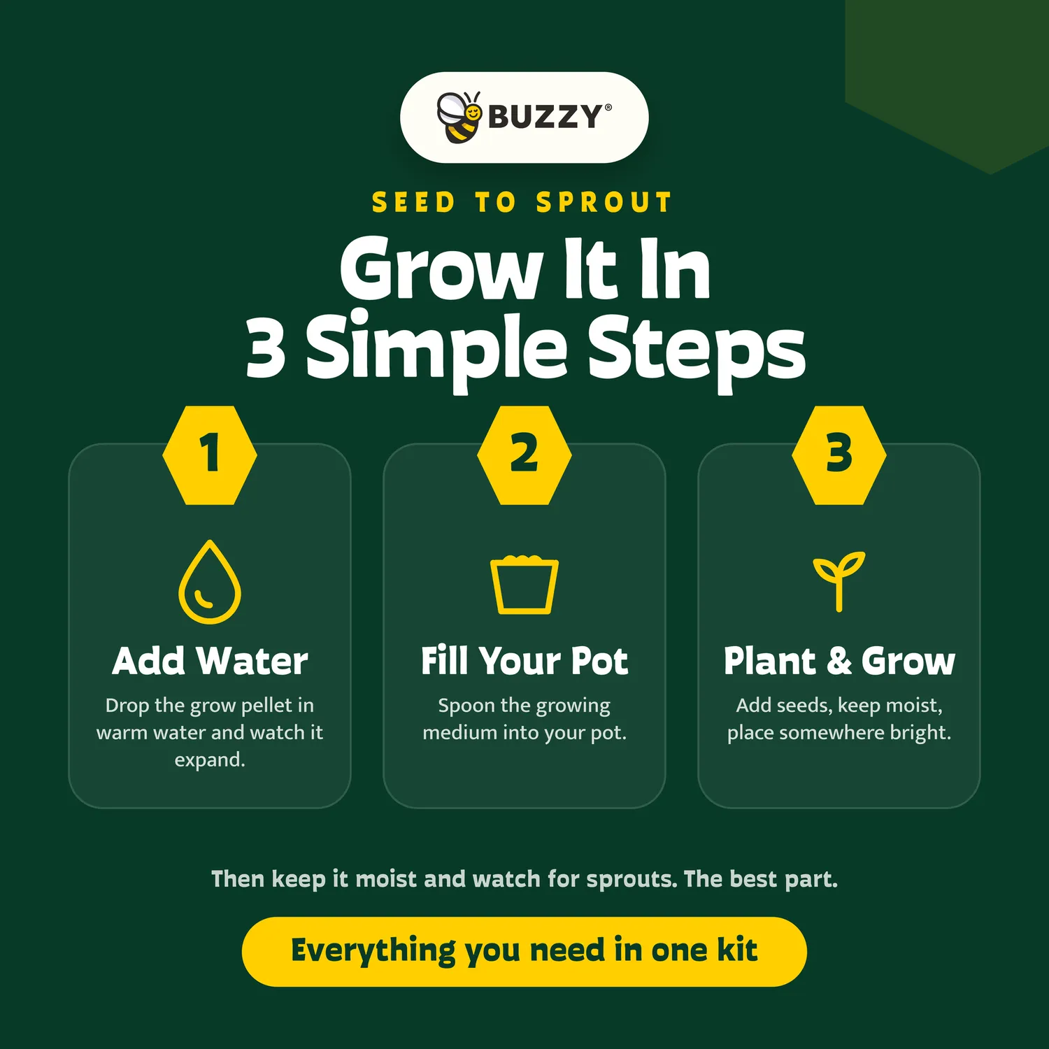 Buzzy Seeds Pollinator frøkugler spand bundle