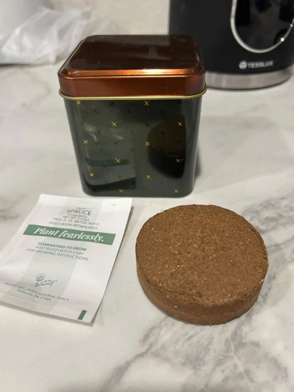Buzzy Seeds Holiday Mint dyrkningssæt 2 dåser mynte