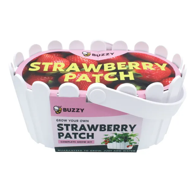 Buzzy Seeds Strawberry Grow Kit dyrkningssæt hvid kurv