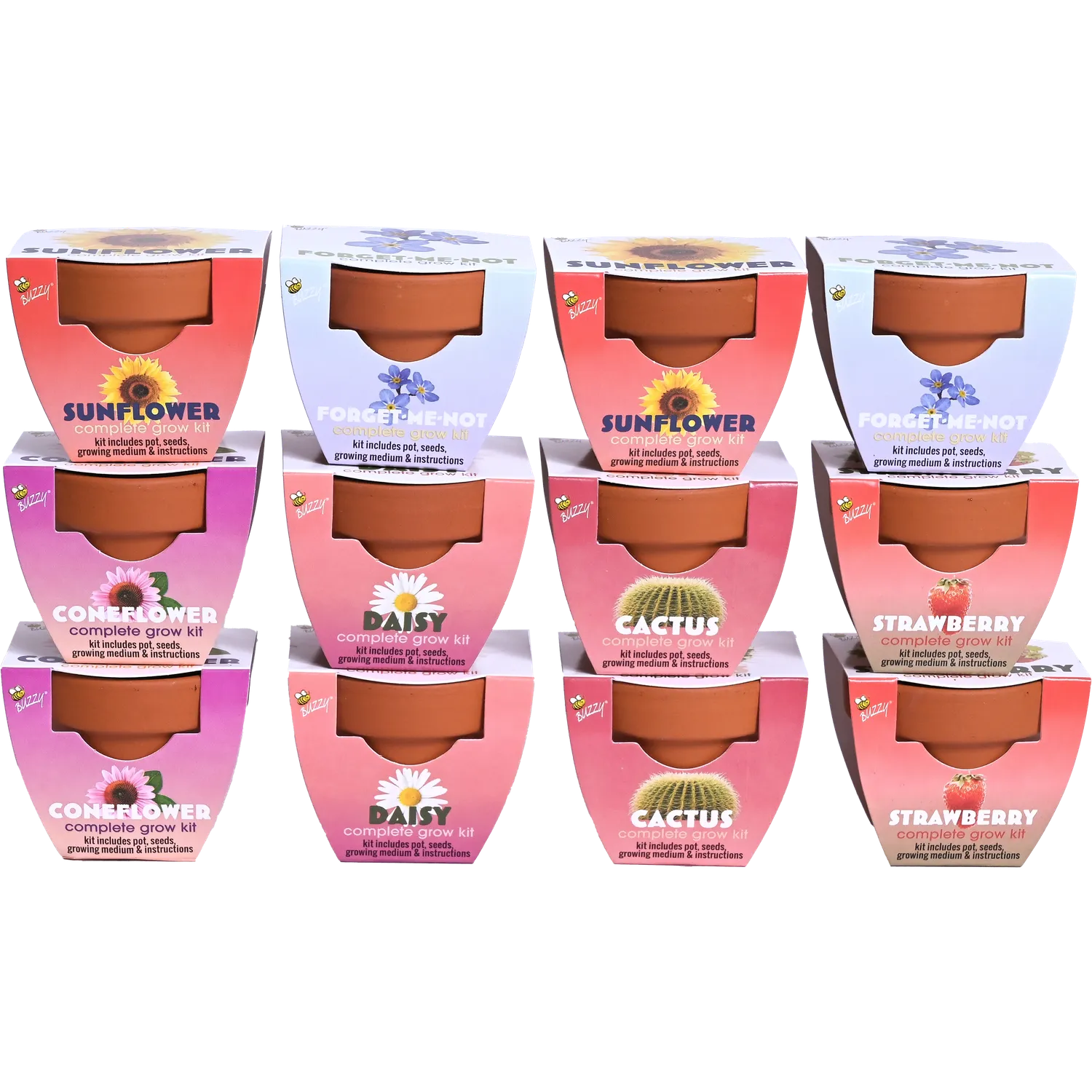 Buzzy Seeds Classic dyrkningssæt 12-pak assorteret mix