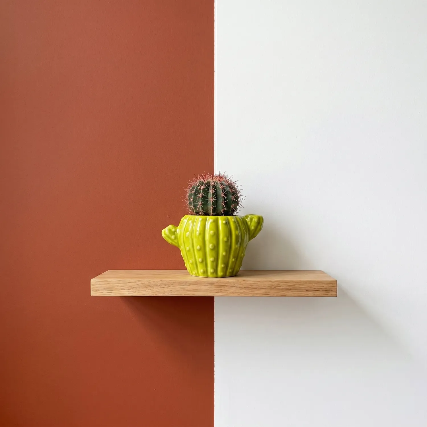 Buzzy Seeds Cactus dyrkningssæt 4-pak keramikpotter