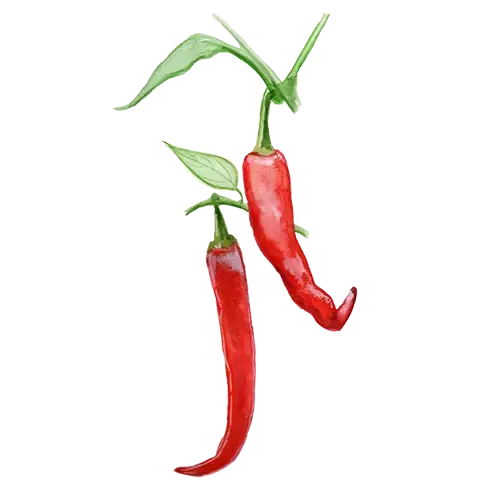 NordFrö De Cayenne chilifrø stærk 10-15 cm