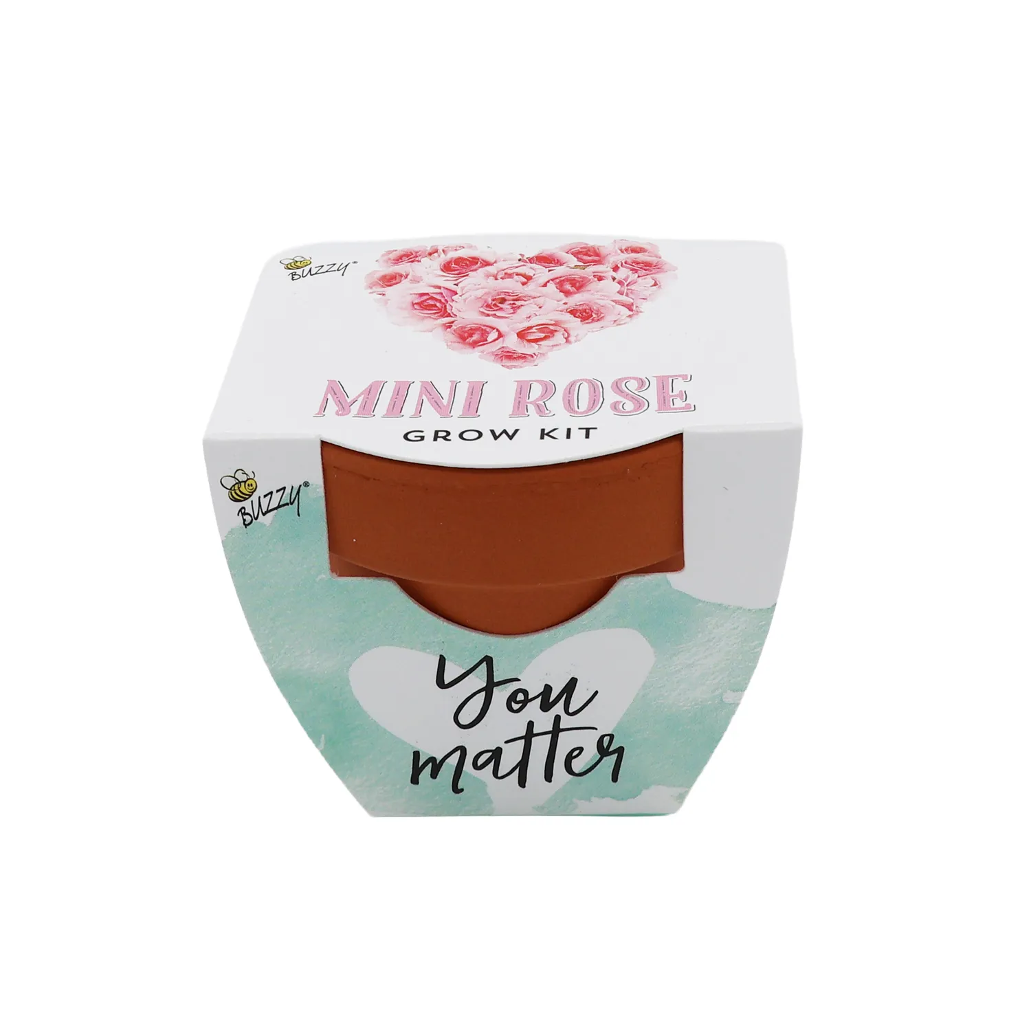 Buzzy Seeds Love minirose dyrkningssæt 12-pak rosa