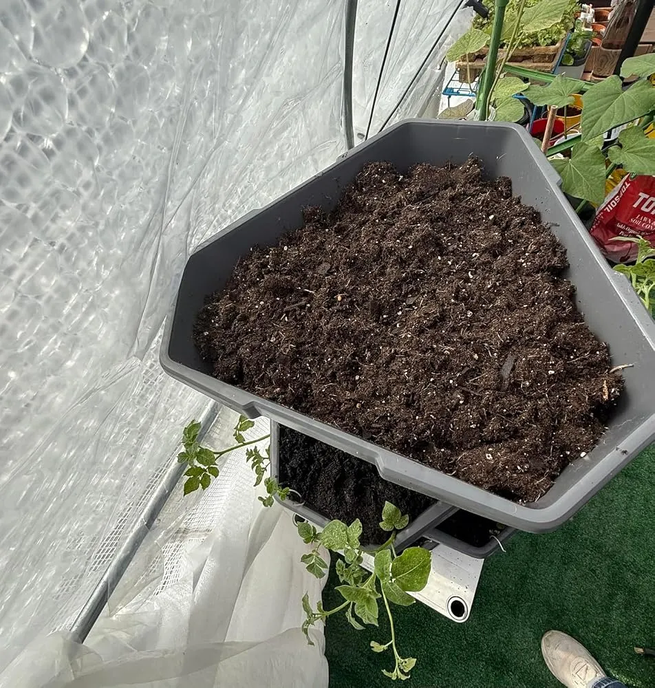 Buzzy Seeds selvvandende tomatpotte med espalier grøn
