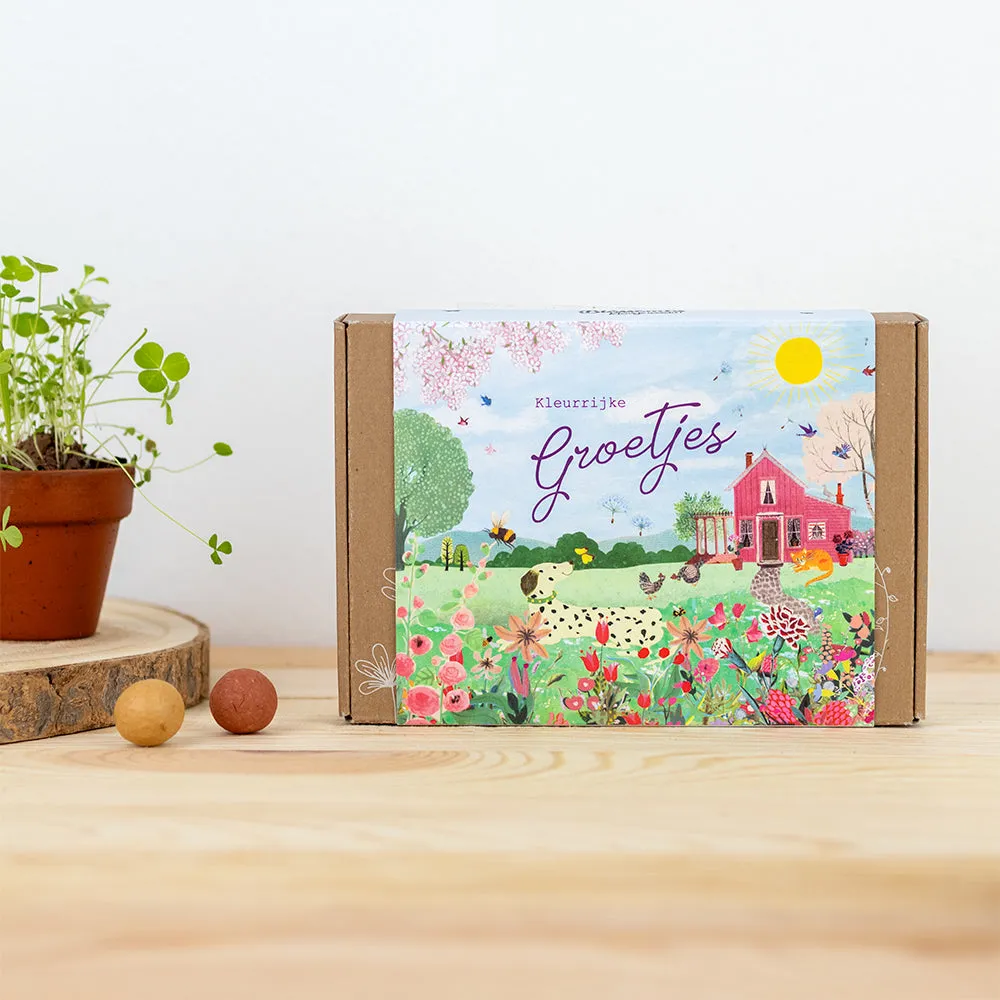 Blossombs Gift Box Small frøbomber 7 stk Pink House vilde blomster