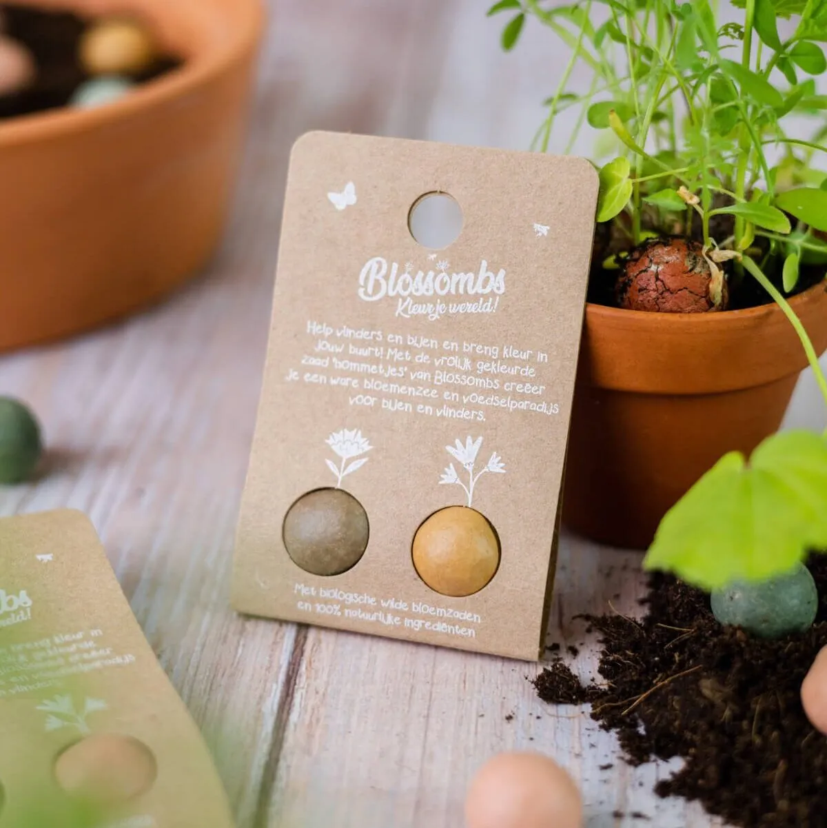 Blossombs Minigave frøbomber 2 stk vildblomster