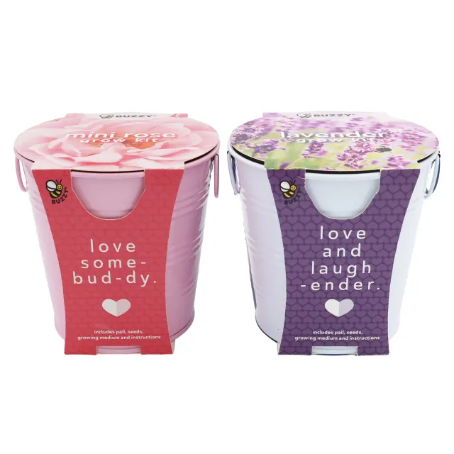Buzzy Seeds Flower Pail Mini Rose Lavender dyrkningssæt 2-pak duft