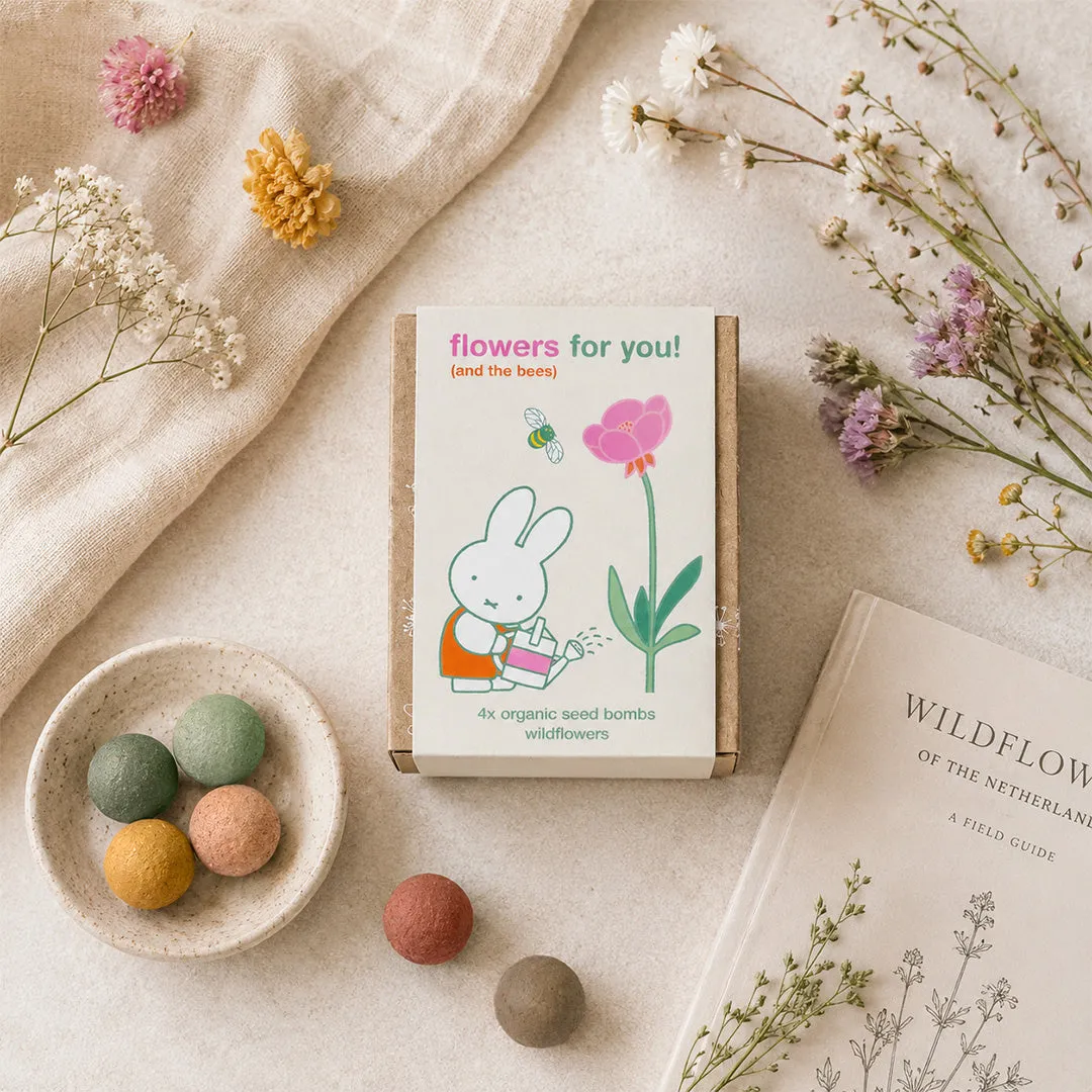 Blossombs Nijntje Mini gaveæske 4 frøbomber vilde blomster