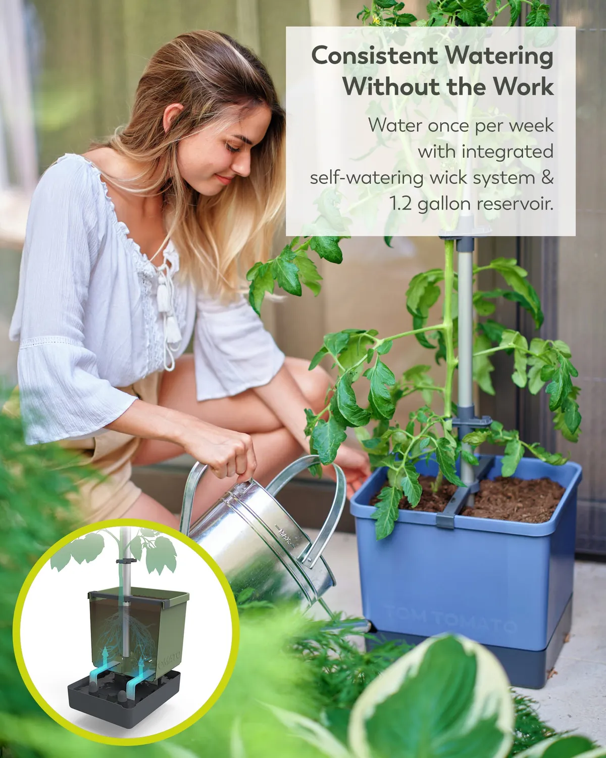 Buzzy Seeds selvvandende tomatpotte med espalier grøn
