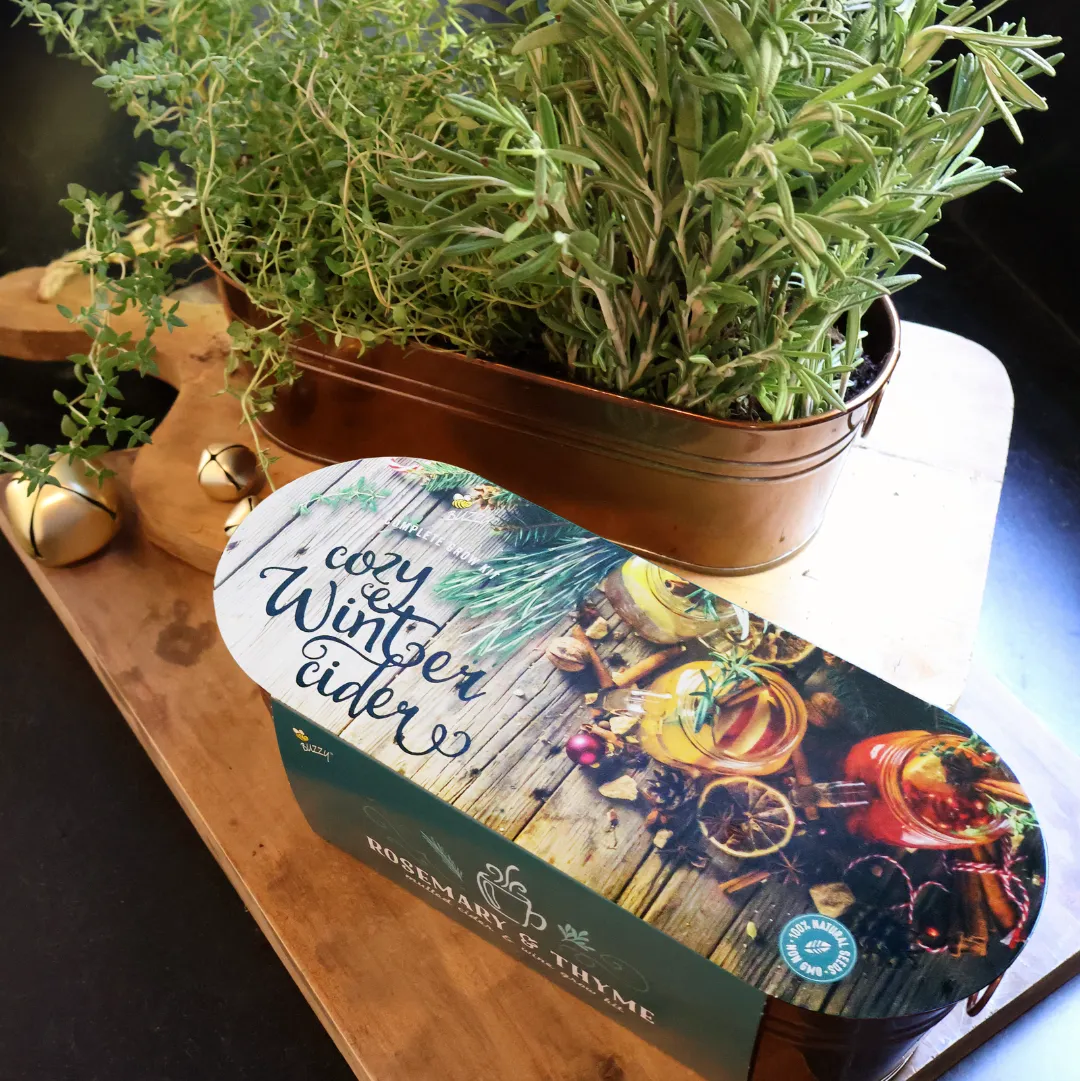 Buzzy Seeds Rosemary Thyme dyrkningssæt kobberkar 2 sorter