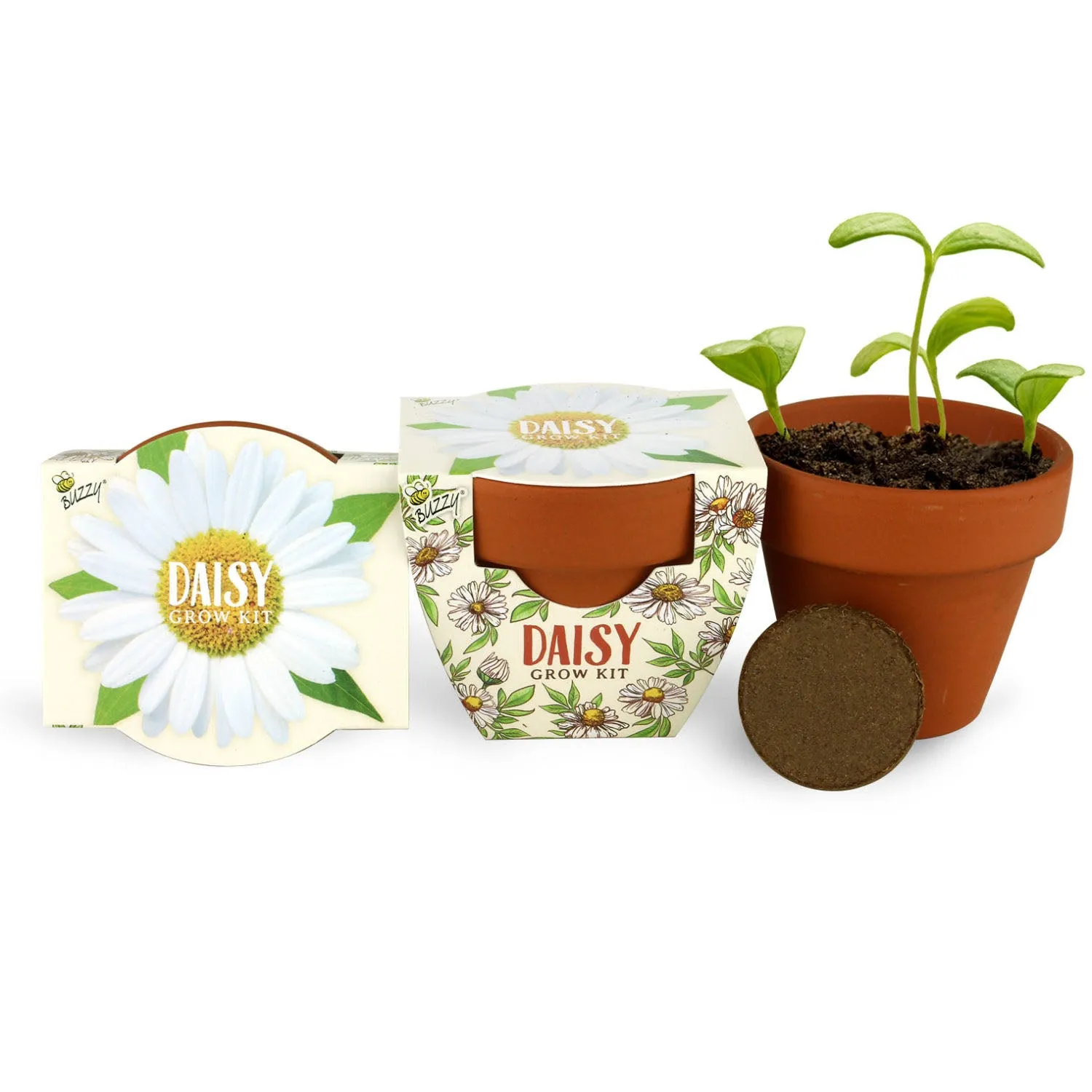 Daydream Mini Terracotta dyrkningssæt 6-pak blomster kaktus