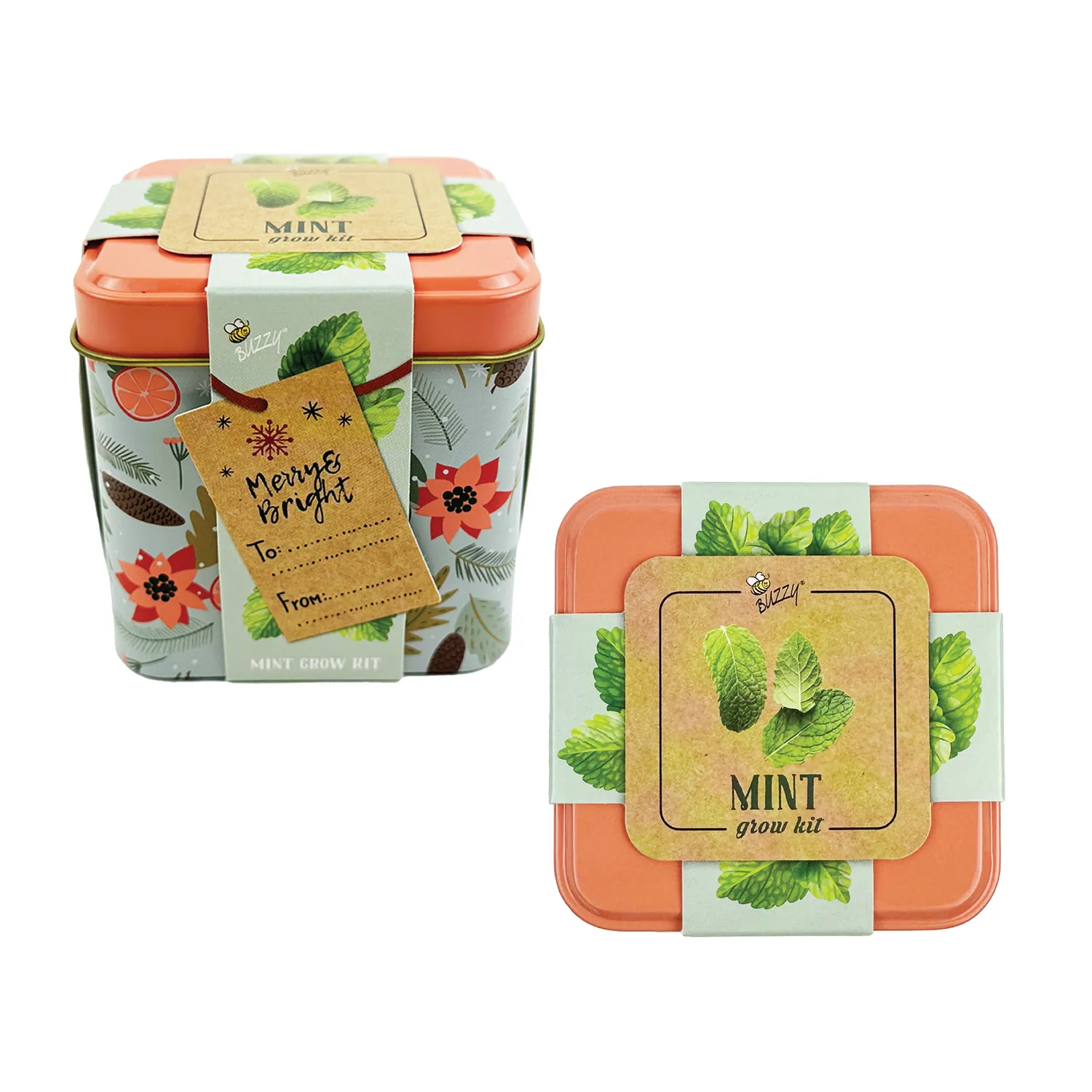 Buzzy Seeds Holiday Mint dyrkningssæt 2 dåser mynte