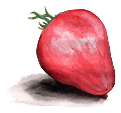 NordFrö Pink Passion tomatfrø dværgtomat 80-200 g