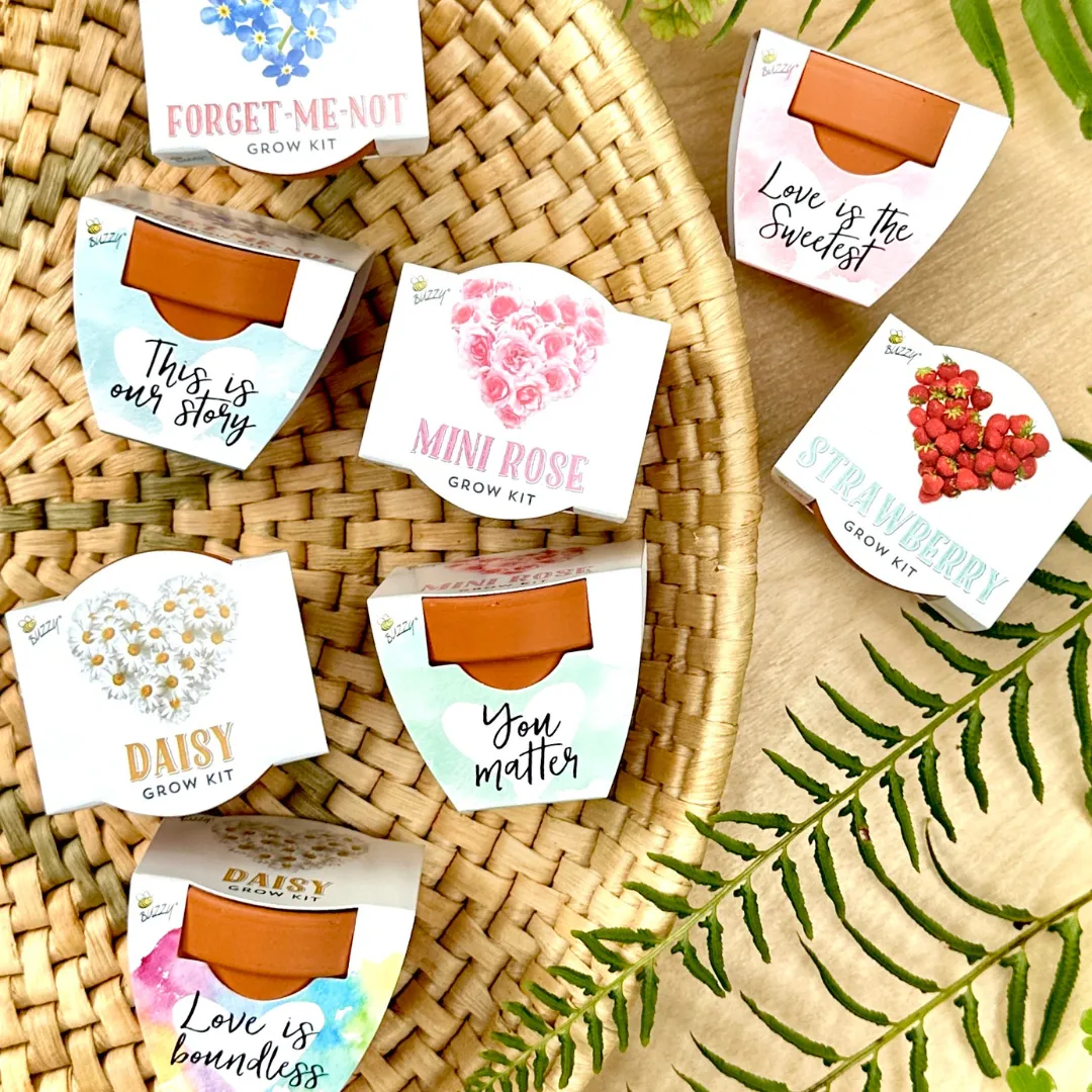 Buzzy Seeds Love dyrkningssæt 12-pak assorteret blomst
