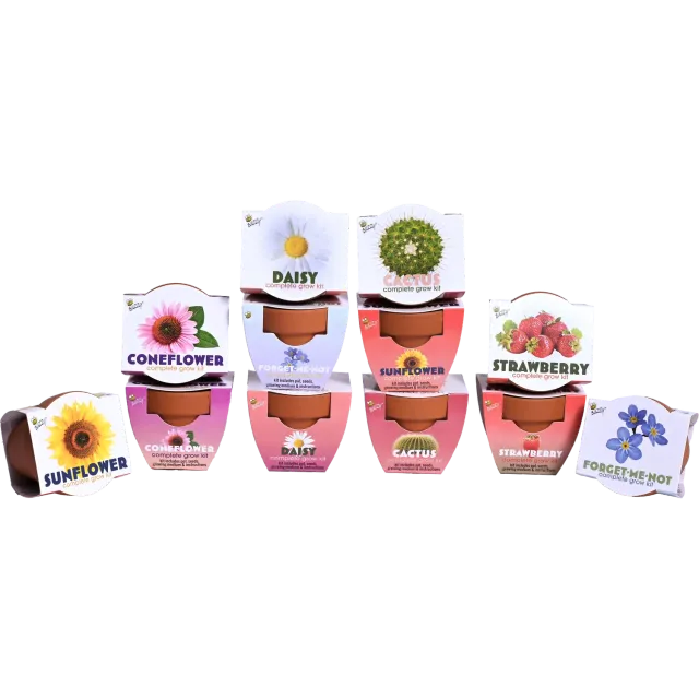 Buzzy Seeds Classic dyrkningssæt 12-pak assorteret mix