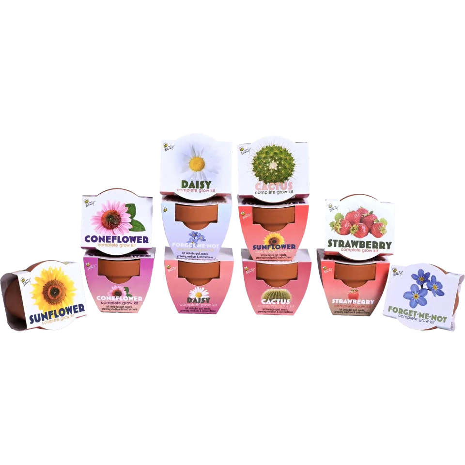 Buzzy Seeds Classic dyrkningssæt 12-pak assorteret mix
