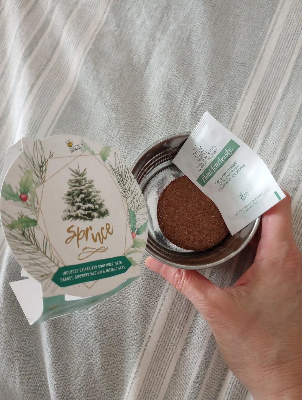Buzzy Seeds Christmas Tree dyrkningssæt miniskål gran