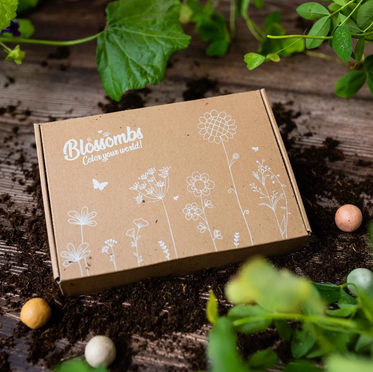 Blossombs Small gaveæske frøbomber 7 stk blomst