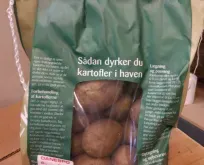Holschers Sava økologisk læggekartoffel 1,5 kg